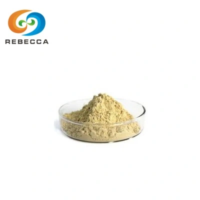 Soy Isoflavones Powder